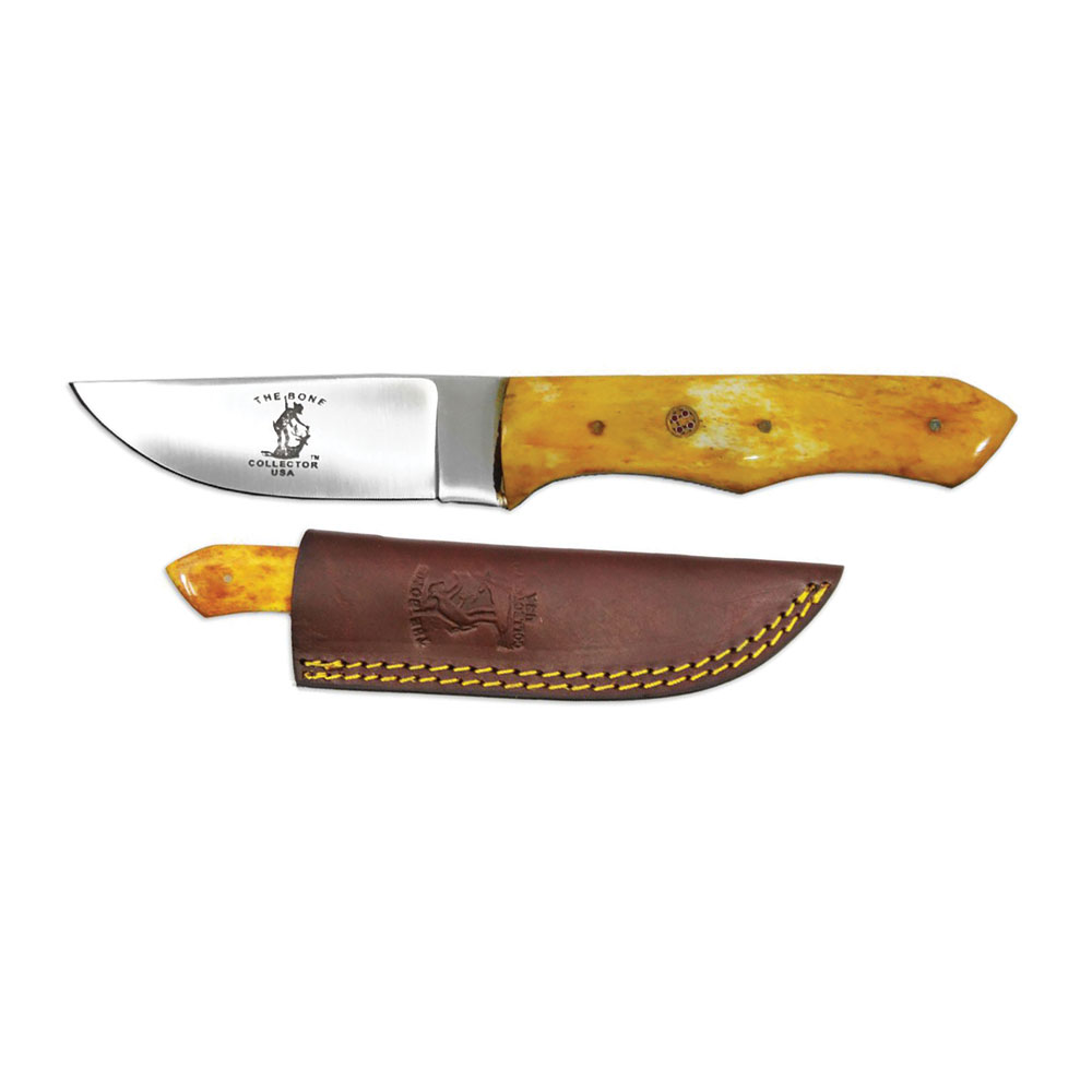 ''Bone Collector 8'''' Yellow Bovine Bone Handle Hunting Knife with LEATHER Sheath''